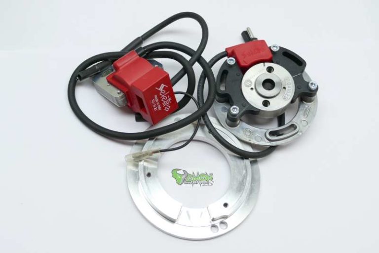 Selettra KZ complete analog System for Minarelli  incl. Adapterplate