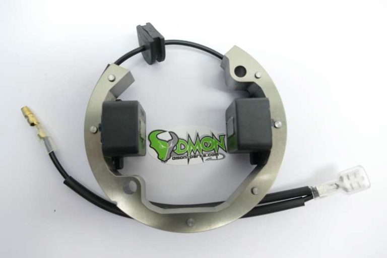 Selettra mini Stator for KTM SX 50 Minicross R2904